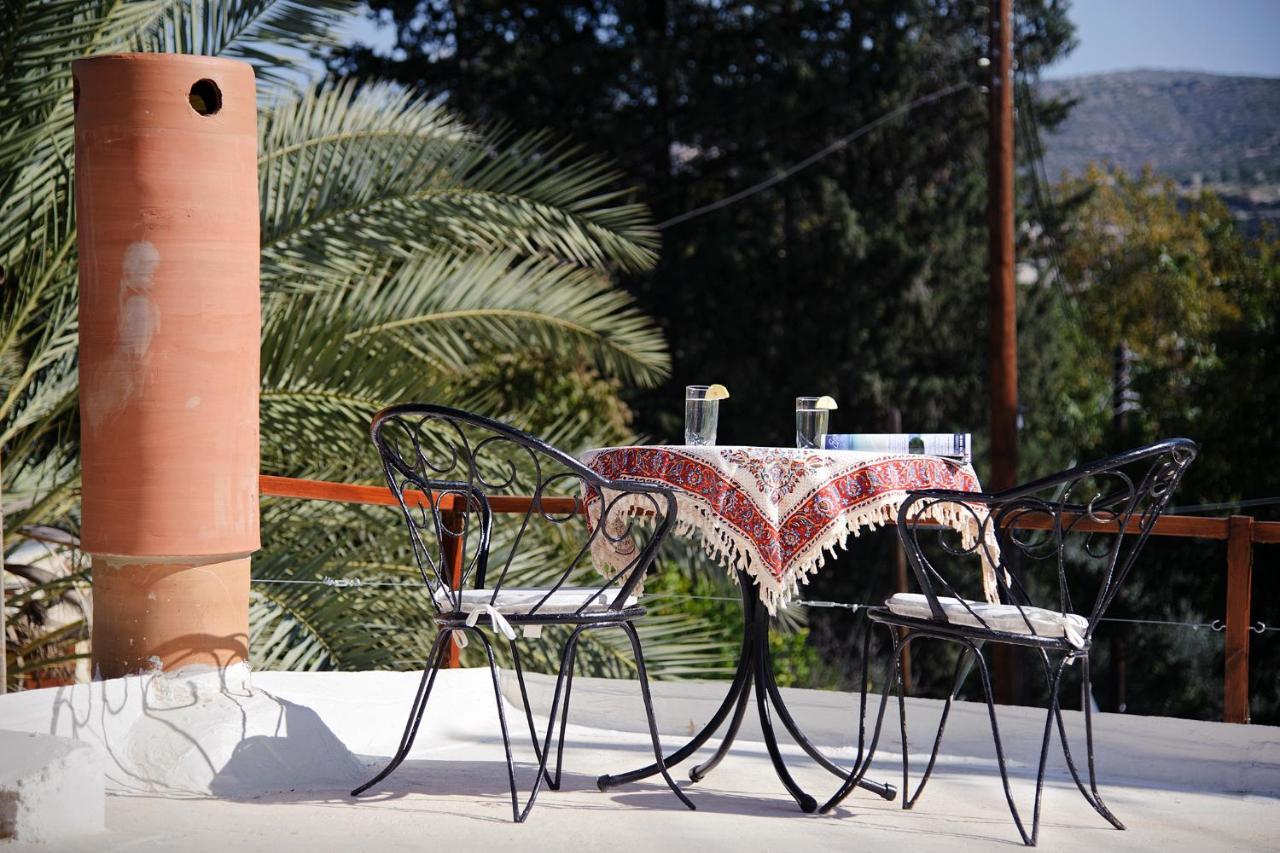 Palm Tree Oriental House And Homestay Polis Bagian luar foto